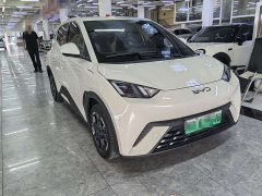 BYD Seagull Glory Edition 305km Freedom Version - ფოტო 3