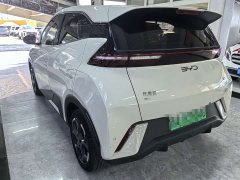 BYD Seagull Glory Edition 305km Freedom Version - ფოტო 4