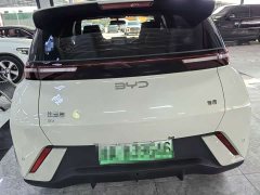 BYD Seagull Glory Edition 305km Freedom Version - ფოტო 5