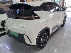 BYD Seagull Glory Edition 305km Freedom Version - ფოტო 6