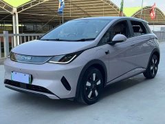BYD Dolphin Smart Drive 410km Fashion Edition - ფოტო 1