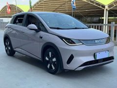 BYD Dolphin Smart Drive 410km Fashion Edition - ფოტო 3