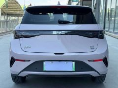 BYD Dolphin Smart Drive 410km Fashion Edition - ფოტო 5