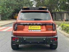 Great Wall Dachshund 2.0T DCT Chinese Rural Dog Edition - ფოტო 4