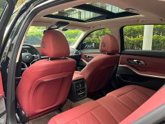 BMW 3 Series 330Li M Sport Night Edition Package - ფოტო 12