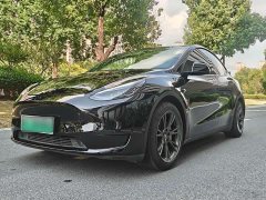 Tesla Model Y Rear-Wheel Drive - ფოტო 3