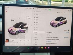 Tesla Model Y Rear-Wheel Drive - ფოტო 4
