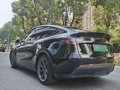 Tesla Model Y Rear-Wheel Drive - ფოტო 8