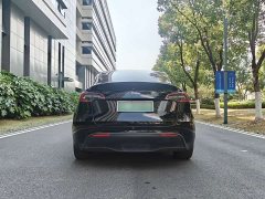 Tesla Model Y Rear-Wheel Drive - ფოტო 9