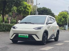 BYD Seagull Glory Edition 305km Freedom Version - ფოტო 1
