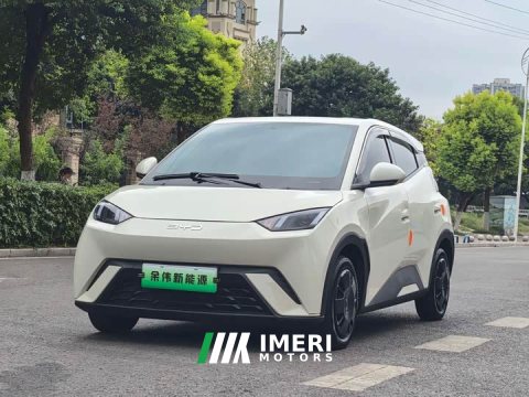 2024 BYD Seagull Glory Edition 305km Freedom Version - ავტომობილი ჩინეთიდან