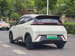 BYD Seagull Glory Edition 305km Freedom Version - ფოტო 12