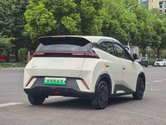 BYD Seagull Glory Edition 305km Freedom Version - ფოტო 13