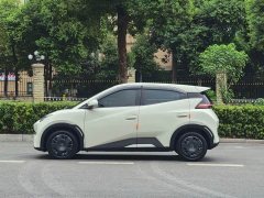 BYD Seagull Glory Edition 305km Freedom Version - ფოტო 14