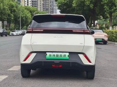 BYD Seagull Glory Edition 305km Freedom Version - ფოტო 15