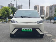 BYD Seagull Glory Edition 305km Freedom Version - ფოტო 2