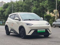 BYD Seagull Glory Edition 305km Freedom Version - ფოტო 3