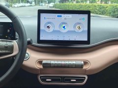 BYD Seagull Glory Edition 305km Freedom Version - ფოტო 7