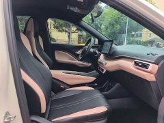 BYD Seagull Glory Edition 305km Freedom Version - ფოტო 9