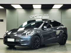 Tesla Model Y Long Range All-Wheel Drive - ფოტო 1