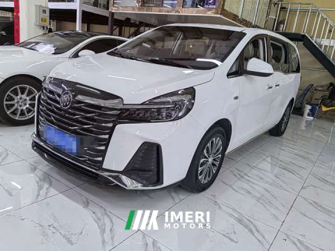 2022 Buick GL8 2023 Land Executive Cabin 652T Luxury - ავტომობილი ჩინეთიდან