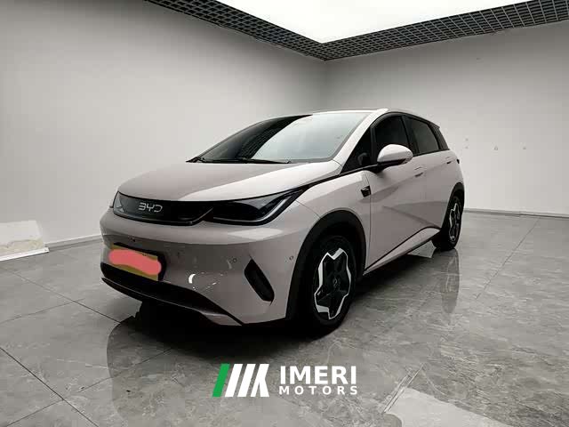 BYD Dolphin Smart Drive 420km Freedom Edition - ავტომობილი ჩინეთიდან