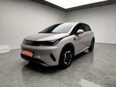 BYD Dolphin Smart Drive 420km Freedom Edition - ფოტო 1