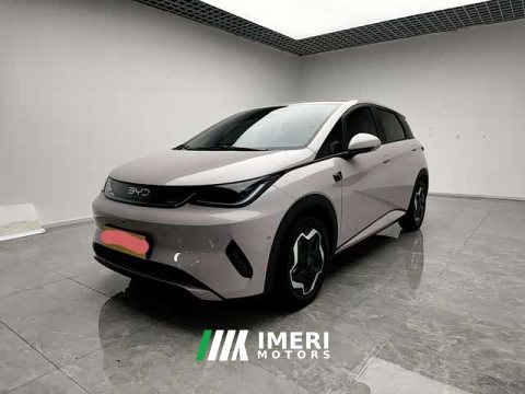 2025 BYD Dolphin Smart Drive 420km Freedom Edition - ავტომობილი ჩინეთიდან