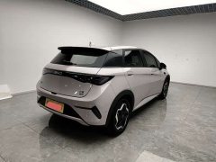 BYD Dolphin Smart Drive 420km Freedom Edition - ფოტო 13