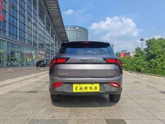 Neta V Long-Range Entertainment Edition Plus - ფოტო 4