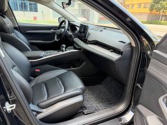 Geely Xingui Xingrui 2.0T Diesel Luxury - ფოტო 14