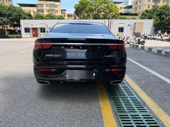 Geely Xingui Xingrui 2.0T Diesel Luxury - ფოტო 18