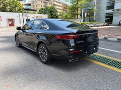 Geely Xingui Xingrui 2.0T Diesel Luxury - ფოტო 19