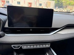 Geely Xingui Xingrui 2.0T Diesel Luxury - ფოტო 9