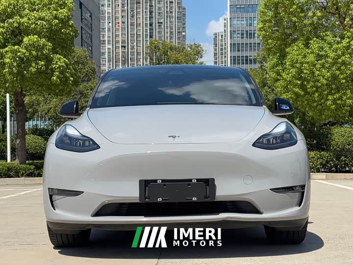 Tesla Model Y Standard Range RWD - ავტომობილი ჩინეთიდან