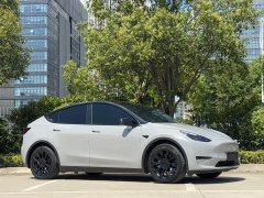 Tesla Model Y Standard Range RWD - ფოტო 8