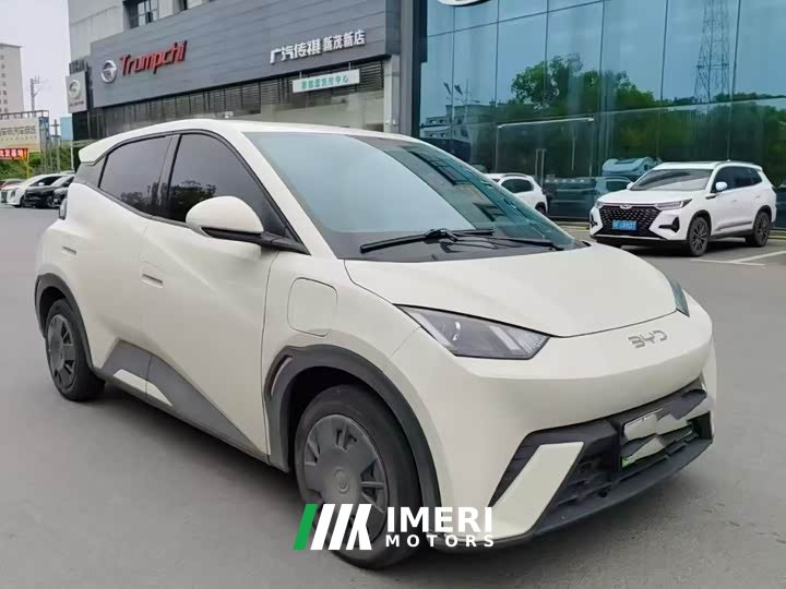 BYD Seagull Glory Edition 305km Vitality Version