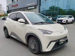 BYD Seagull Glory Edition 305km Vitality Version - ფოტო 1