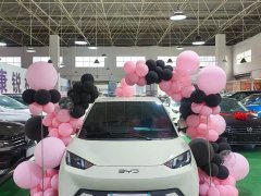 BYD Seagull Glory Edition 305km Vitality Version - ფოტო 2