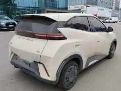 BYD Seagull Glory Edition 305km Vitality Version - ფოტო 9