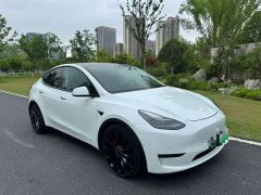 Tesla Model Y Performance All-Wheel Drive - ფოტო 1