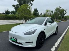 Tesla Model Y Performance All-Wheel Drive - ფოტო 2