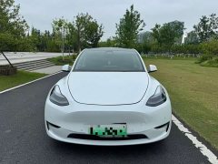 Tesla Model Y Performance All-Wheel Drive - ფოტო 3