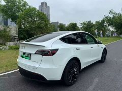 Tesla Model Y Performance All-Wheel Drive - ფოტო 5