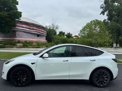 Tesla Model Y Performance All-Wheel Drive - ფოტო 6