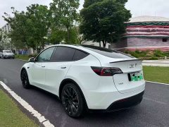 Tesla Model Y Performance All-Wheel Drive - ფოტო 7