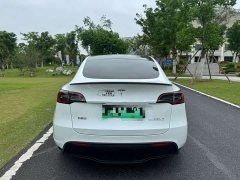 Tesla Model Y Performance All-Wheel Drive - ფოტო 8