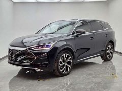 BYD Tang New Energy DM-i 115KM Premium Edition - ფოტო 1