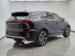 BYD Tang New Energy DM-i 115KM Premium Edition - ფოტო 6