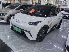 BYD Seagull Glory Edition 305km Freedom Version - ფოტო 1